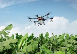 Plant Protection Drone Dji Uav Farmland Agriculture